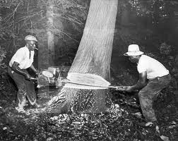 Non Discounted Products