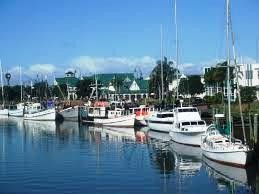 HFM Indent & Special Priced Products